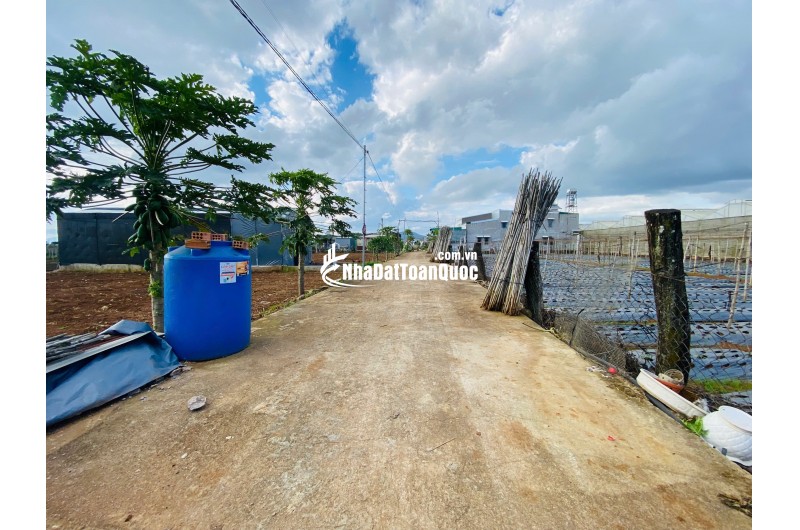 Bán đất 112,5m² Liên Nghĩa, Đức Trọng, Lâm Đồng – Gần trung tâm hành chính, giá 1,2 tỷ