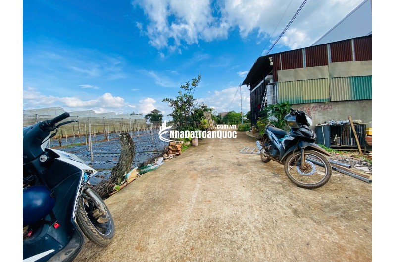 Bán đất 112,5m² Liên Nghĩa, Đức Trọng, Lâm Đồng – Gần trung tâm hành chính, giá 1,2 tỷ