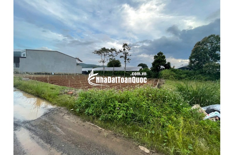Bán Đất Liên Nghĩa, Đức Trọng Giá Rẻ – 123m² Gần Sông Đa Nhim, Cách Sân Bay 4km