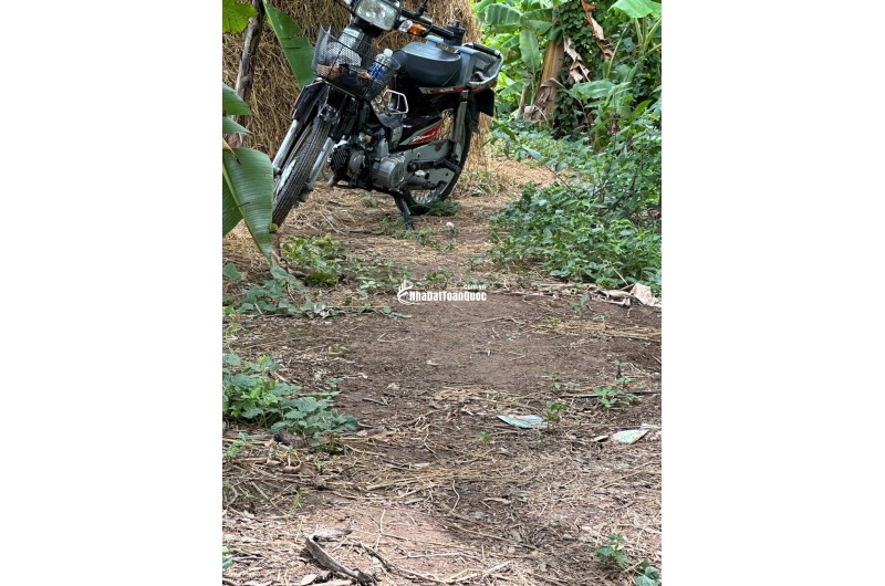 BÁN ĐẤT 3 CÔNG ĐẤT XÃ MỸ HOÀ HƯNG, TP LONG XUYÊN SHR CHỈ 750 TRIỆU. LH:0977226448
