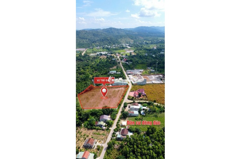 CƠ HỘI ĐẦU TƯ FO 6.560M² - PHỦ HỒNG, SẴN 199M² THỔ CƯ, CHỈ 5.5 TỶ. LH:0368286139