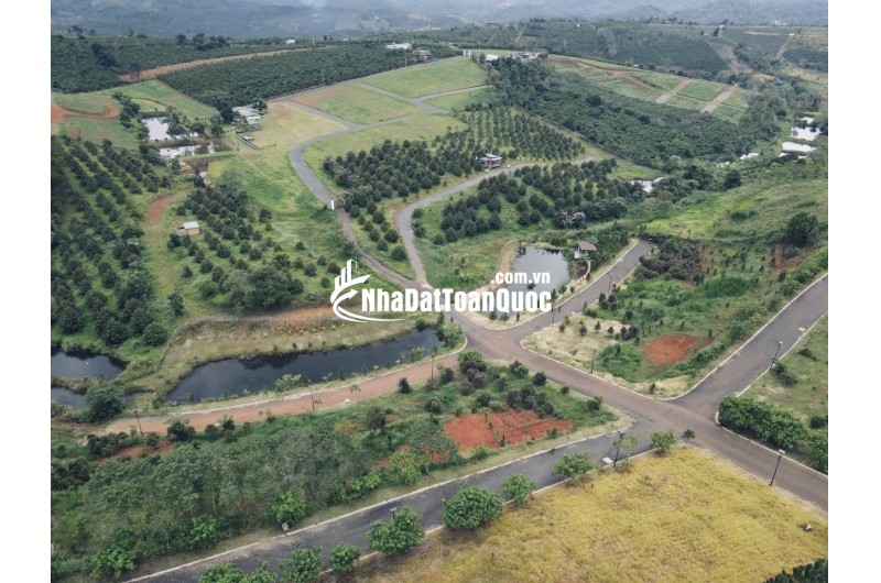 Bán villa nghỉ dưỡng view hồ ngọc cạnh đồi chè tâm châu, có hồ bơi, nhà hàng,. 3,3 tỷ full nội thất