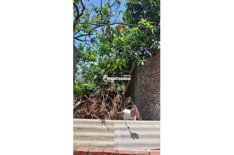 Bán đất Đại Áng 30m², ô tô vào đất, giá 3,5 tỷ