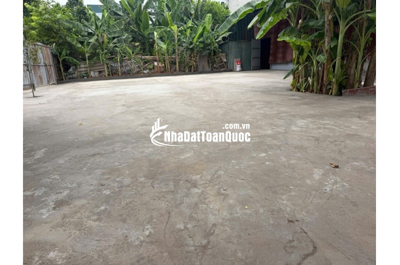 CHO THUÊ SÂN VƯỜN TẠI TÂN XUÂN, PHƯỜNG XUÂN ĐỈNH, HÀ NỘI. LH:0912172283.