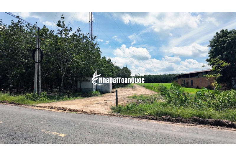 ĐẤT BẾN CẦU TÂY NINH 11.282M2 CHỈ 3TY5, VỊ TRÍ ĐẸP, SỔ TRAO TAY. CHÍNH CHỦ 0988882003.