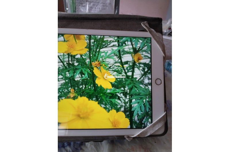 BÁN BIỆT THỰ HAI MẶT TIỀN KHU PHỐ 31 PHƯỜNG HIỆP BÌNH THÀNH PHỐ HỒ CHÍ MINH