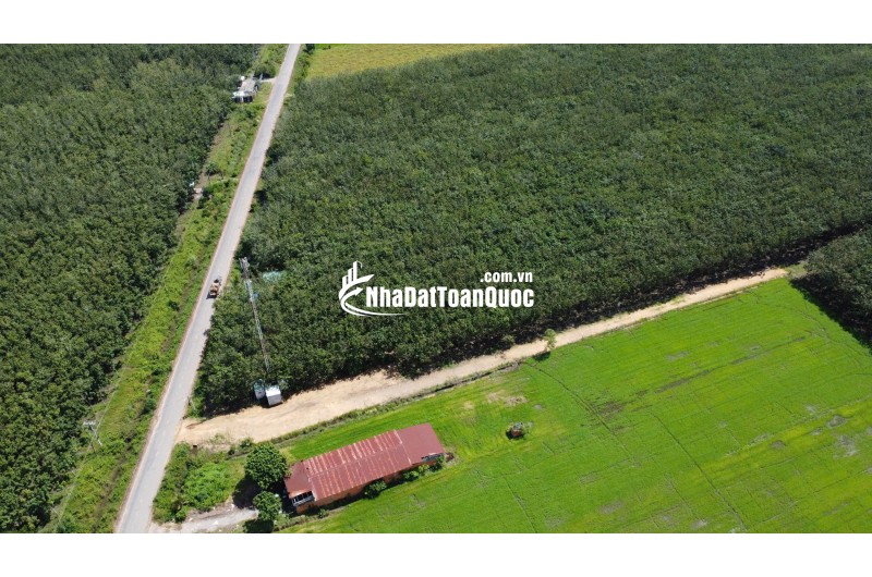 ĐẤT BẾN CẦU TÂY NINH 11.282M2 CHỈ 3TY5, VỊ TRÍ ĐẸP, SỔ TRAO TAY. CHÍNH CHỦ 0988882003.