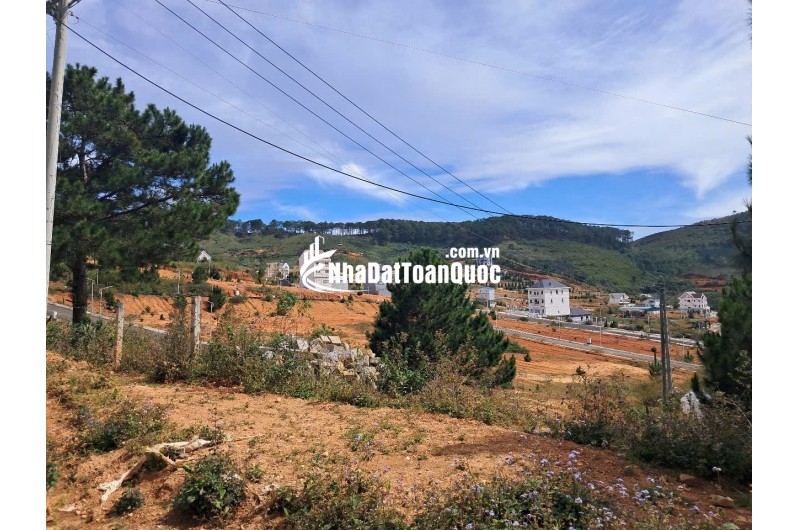 Bán Đất Lớn Lang biang 53,000 m2
