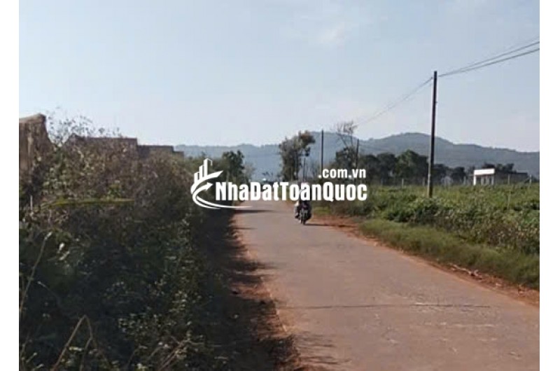 Chính chủ bán 13.000m² đất Tu Tra – Đơn Dương, vị trí đẹp, 2 mặt đường bê tông