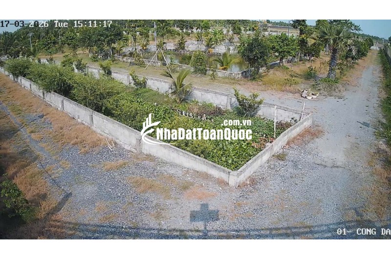 Bán Nhà Vườn 12.000m2, Giá 29.5 Tỷ, Kênh 12, Xã Lê Minh Xuân Bình Chánh