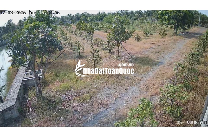 Bán Nhà Vườn 12.000m2, Giá 29.5 Tỷ, Kênh 12, Xã Lê Minh Xuân Bình Chánh