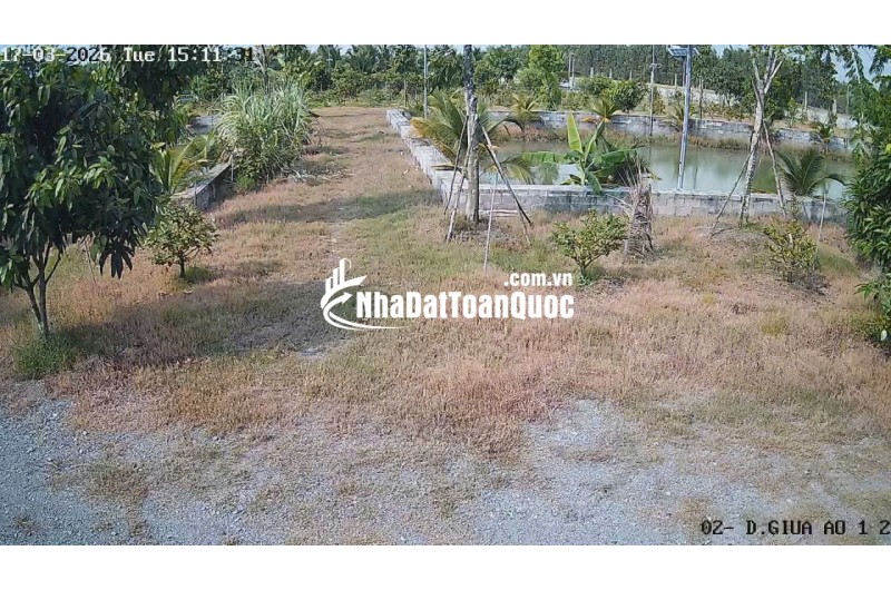 Bán Nhà Vườn 12.000m2, Giá 29.5 Tỷ, Kênh 12, Xã Lê Minh Xuân Bình Chánh