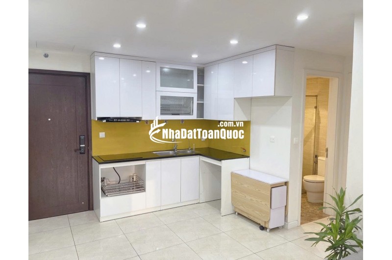 16,5tr thuê 1N+1 Vinhomes D'Capitale 52m² - sẵn chỗ làm việc