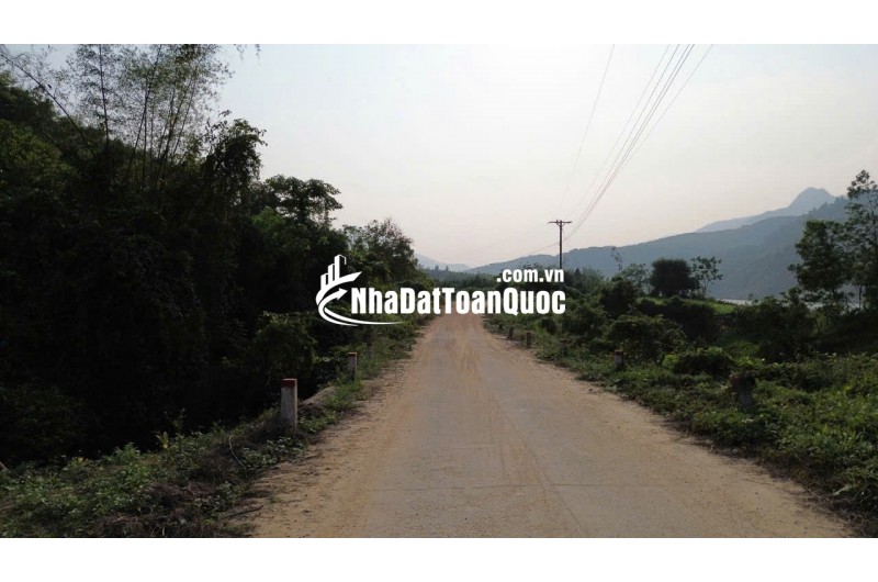 cc 034 3097143 Bán 7.5hecta đất rừng sản xuất view Sông bám suối đại lộc Có keo 2 năm,  Đà Nẵng