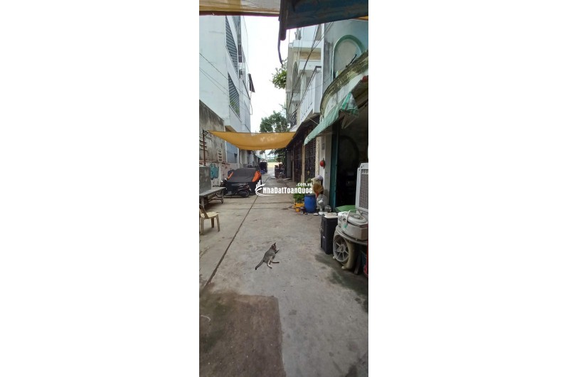 Bán nhà hẻm xe hơi Mã Lò 4 x 12m tiện xây mới