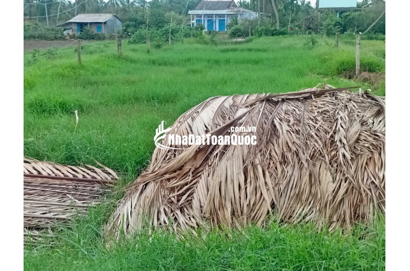 Chính chủ bán đất 563m² có 160m² thổ cư, đường ô tô tại xã Tân Phú, Tân Phú Đông